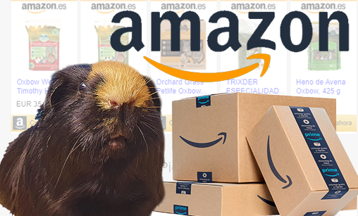 Amazon