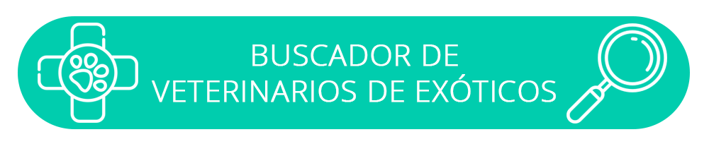 Buscador de veterinarios de exóticos