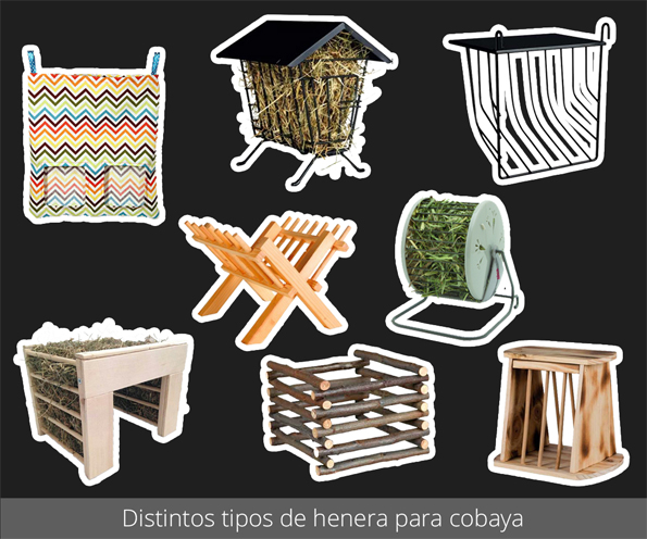 Distintos tipos de henera