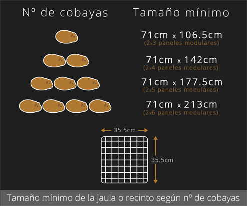 Tamaño mínimo de la jaula o recinto