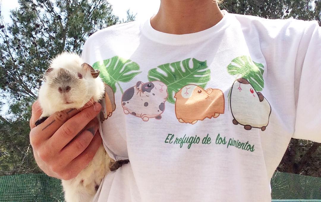 Cobaya y camiseta del refugio Cobaya y camiseta del refugio