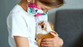 Niña con cobaya y coronavirus