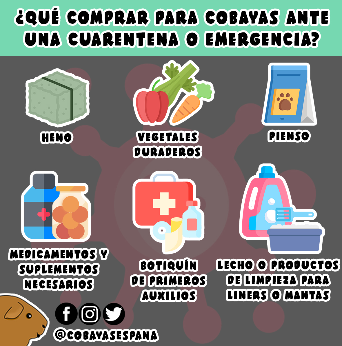 Infografía de compras de emergencia para cobayas