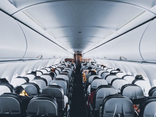 Cabina de aerolínea que admite cobayas