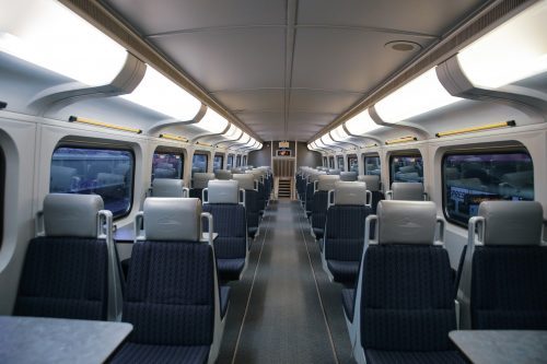 Viajar con cobayas en tren