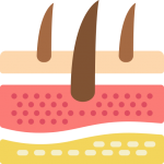 Icono de piel y pelaje