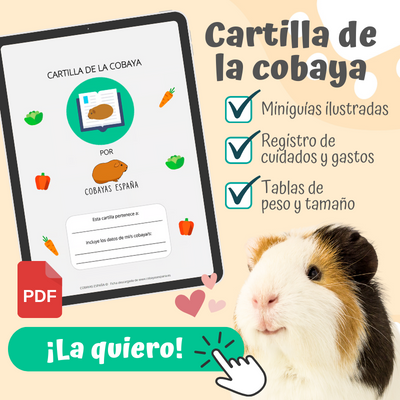 Banner cartilla de la cobaya para seguimiento de cuidados y gastos, con miniguías ilustradas y tablas de peso y tamaño