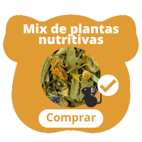 Mix de plantas nutritivas para cobayas