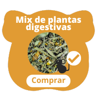 Mix de plantas digestivas para cobayas
